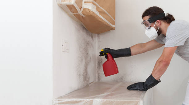 Professional Attic Mold Remediation technician working in Leland, NC
