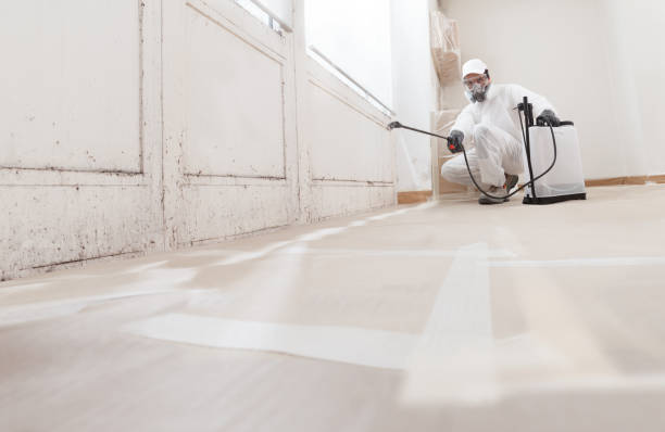 24/7 Emergency Attic Mold Remediation experts in Leland, NC